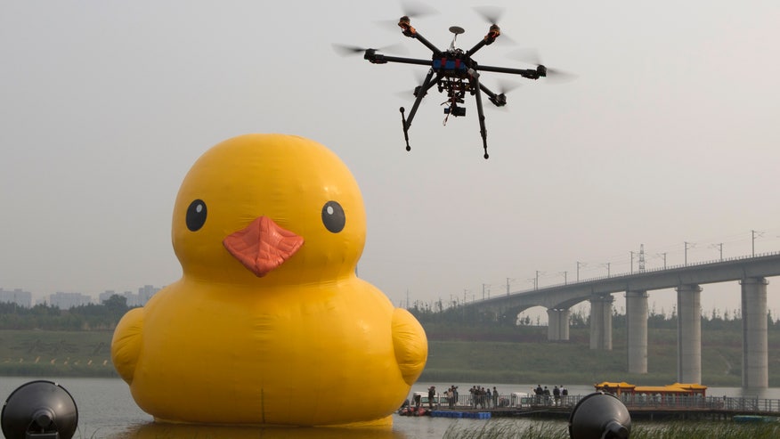 China Giant Yellow Ru_Cala.jpg
